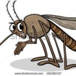 Mosquito illustration in the Mississippi gulf coast; Southern Pest Control