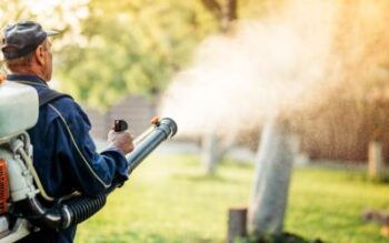 A worker spraying for mosquitoes as a means for mosquito extermination.