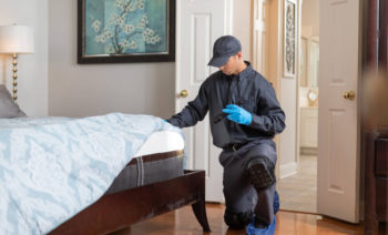 Commercial Bed Bug Control Services in the Mississippi gulf coast; Southern Pest Control