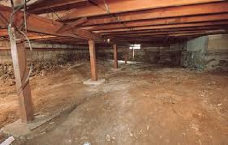 mold in crawl spaces