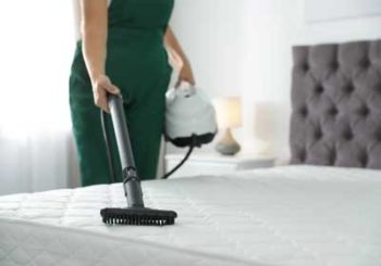 Do it yourself bed bug treatment. Learn more at Southern Pest Control