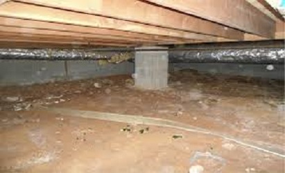 Moldy Crawlspace in the Mississippi gulf coast; Southern Pest Control