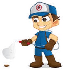 Pest control Biloxi, MS tips for your home